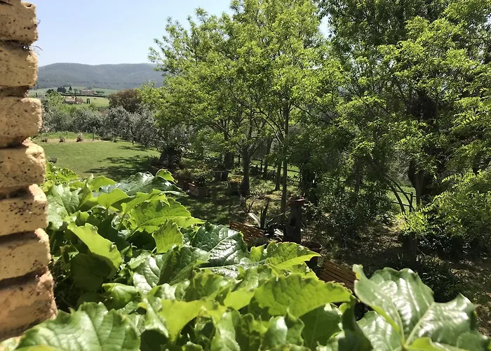 Agriturismo La Leccia