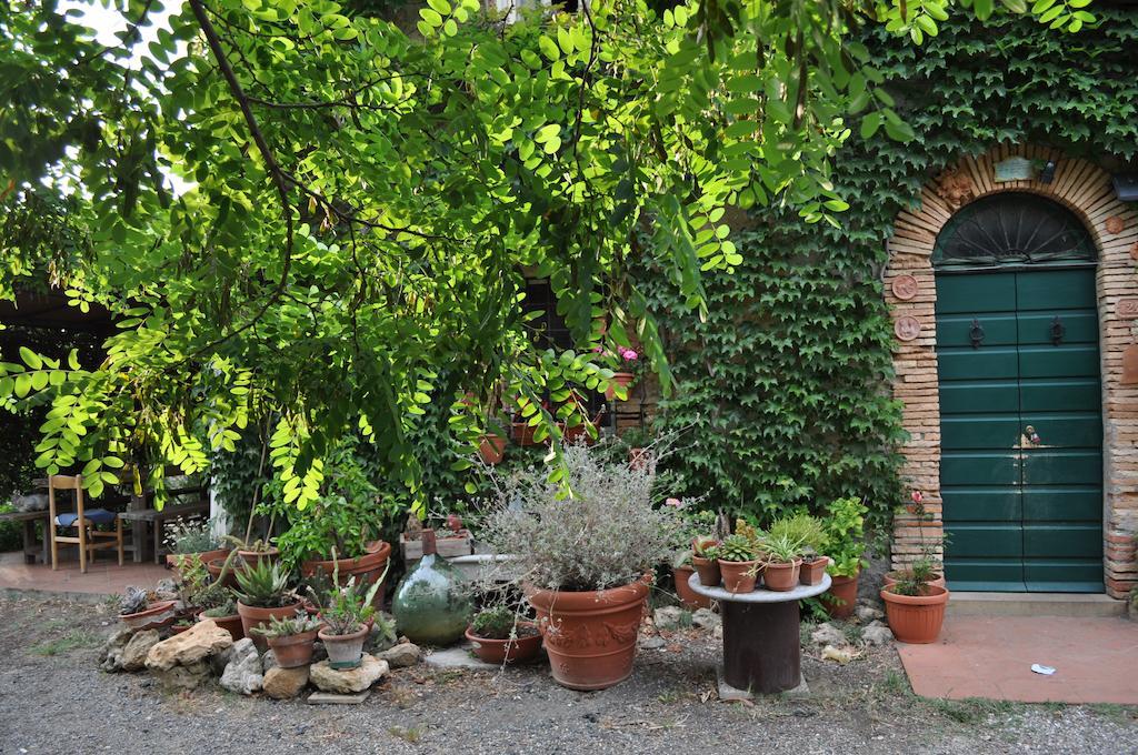 Agriturismo La Leccia * Bibbona