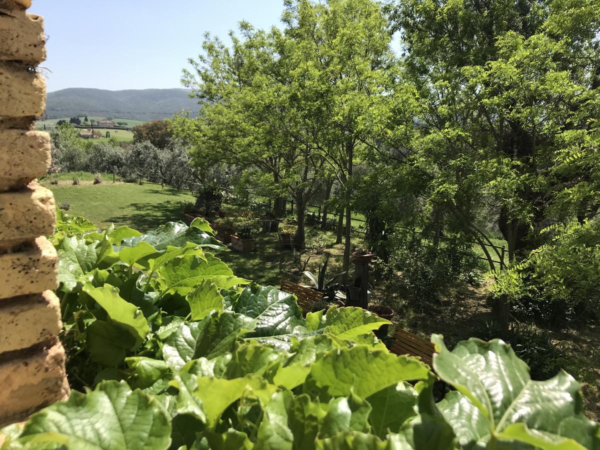 Agriturismo La Leccia Bibbona